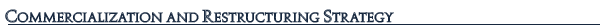 Commercialization and Restructuring Strategy